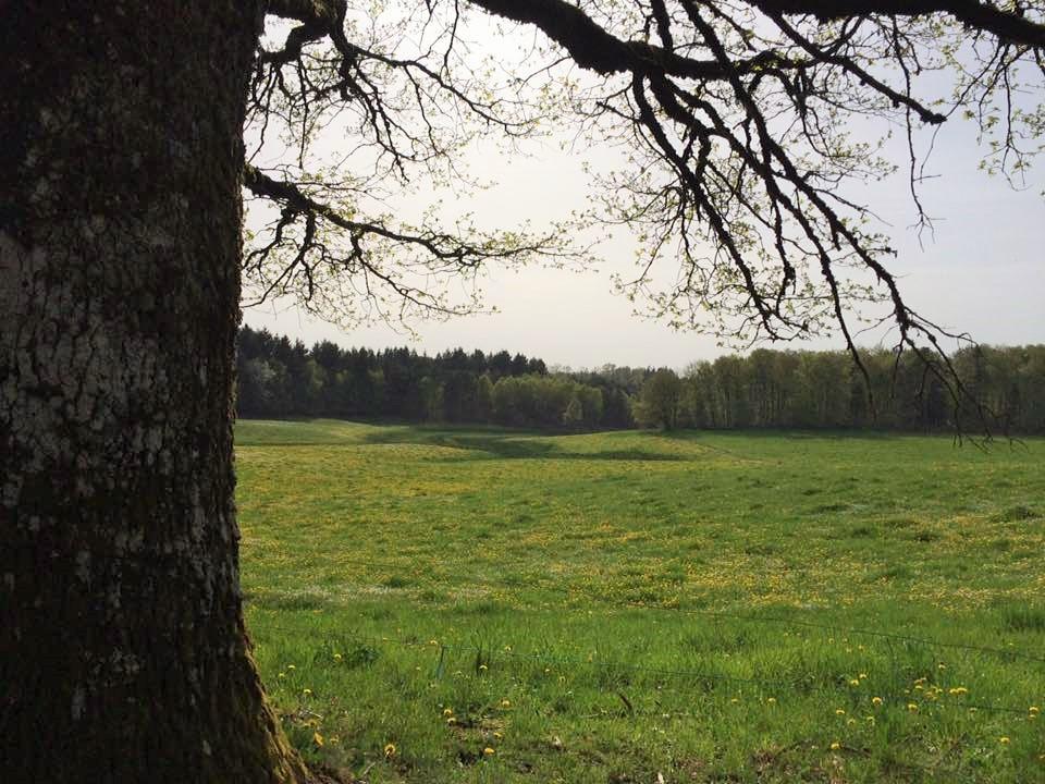 Auberge De Saint Julien Aux Bois Luaran gambar