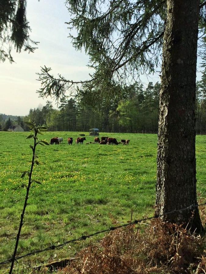 Auberge De Saint Julien Aux Bois Luaran gambar